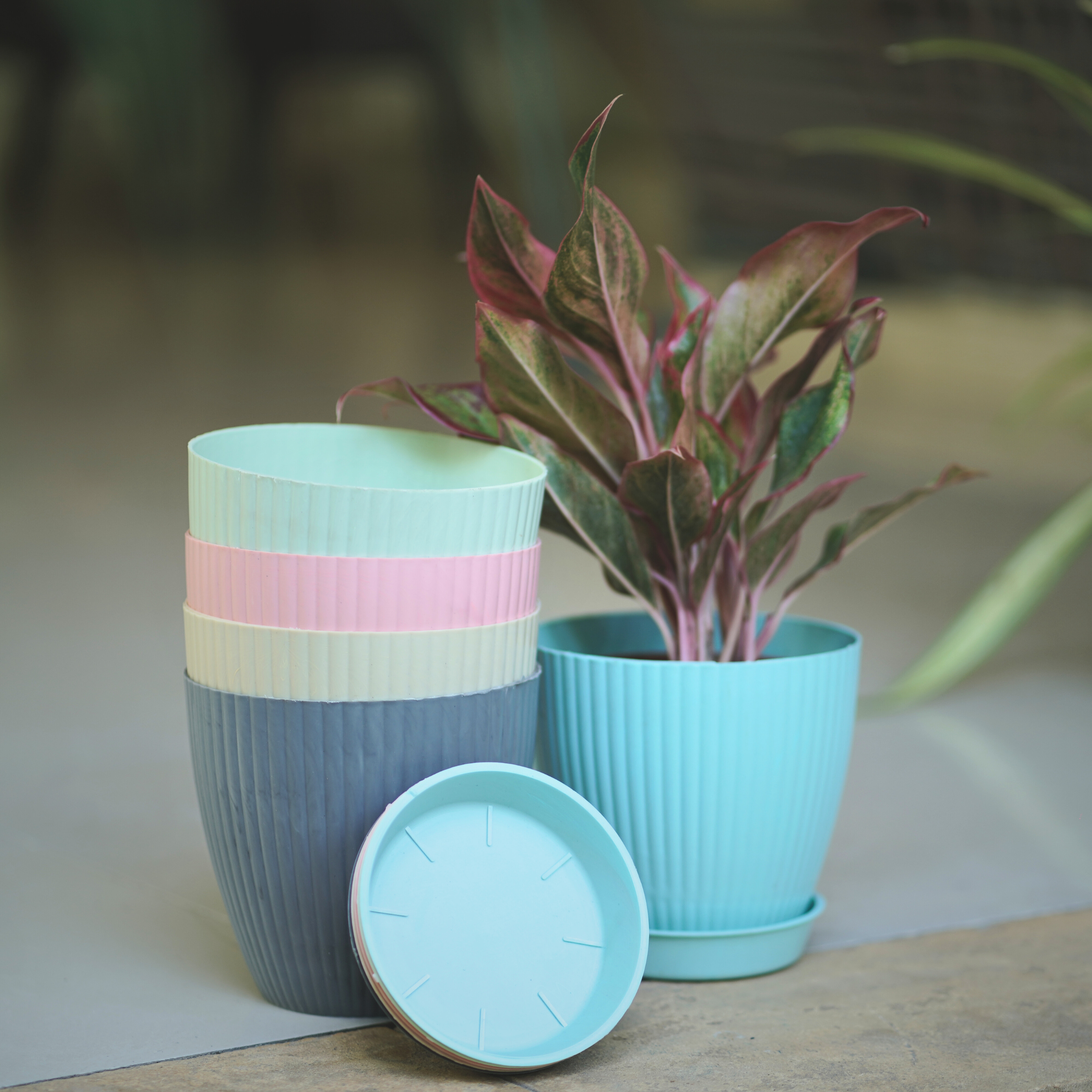 5 Pcs Round Flower Pots with tray for Home & Decoration Planters, Garden Plant Container Set